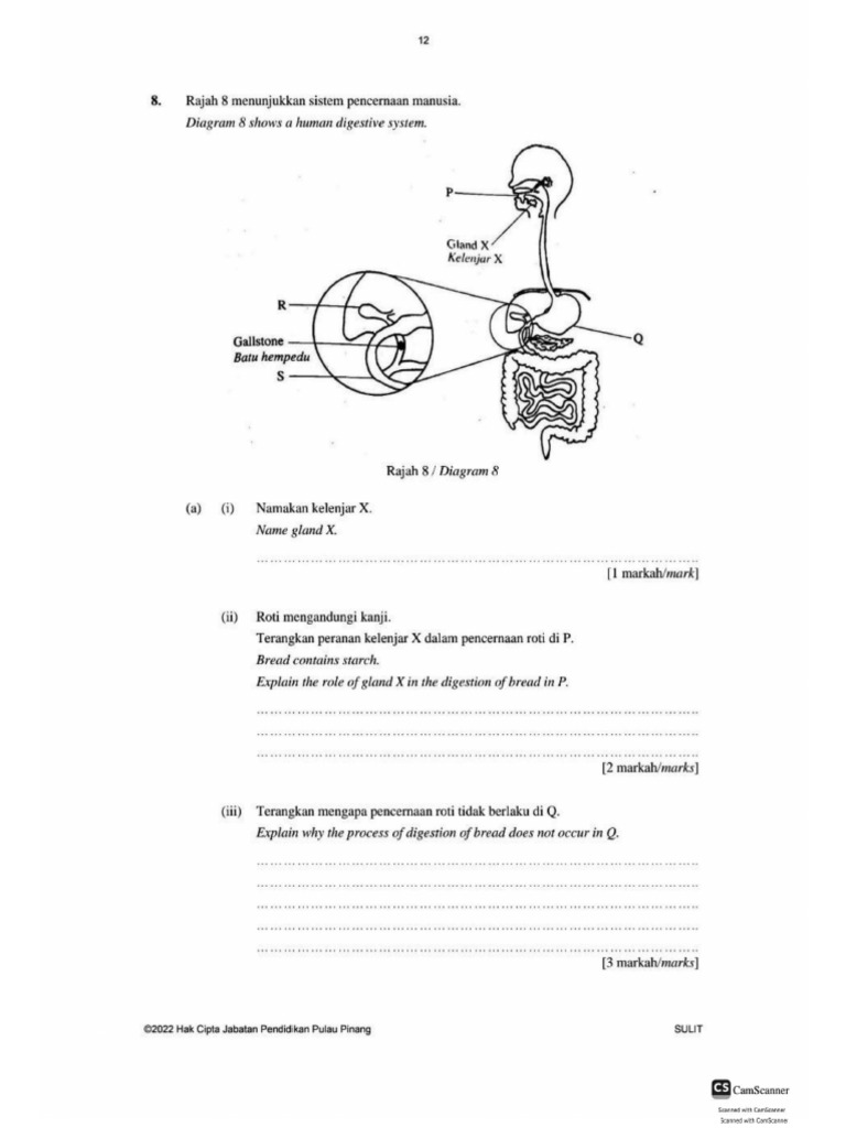 Soalan Trial Biologi Bab 9 | PDF