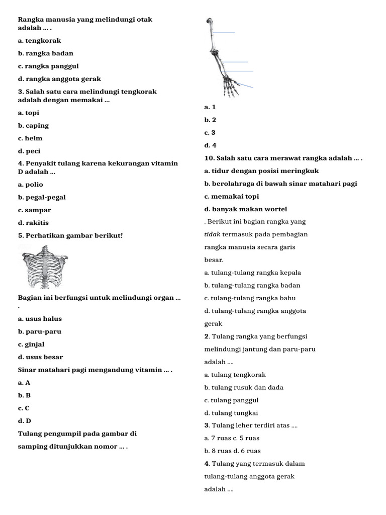 Soal Soal Rangka, Sendi, Otot, Dan Saraf | PDF