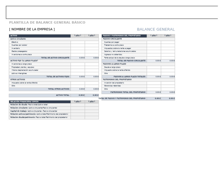 Plantilla Balance General Básico | PDF | Hoja de balance | Capital de ...