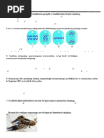 Paypoq kiygan lezbiyenlar ishtirokidagi onlayn porno videolar