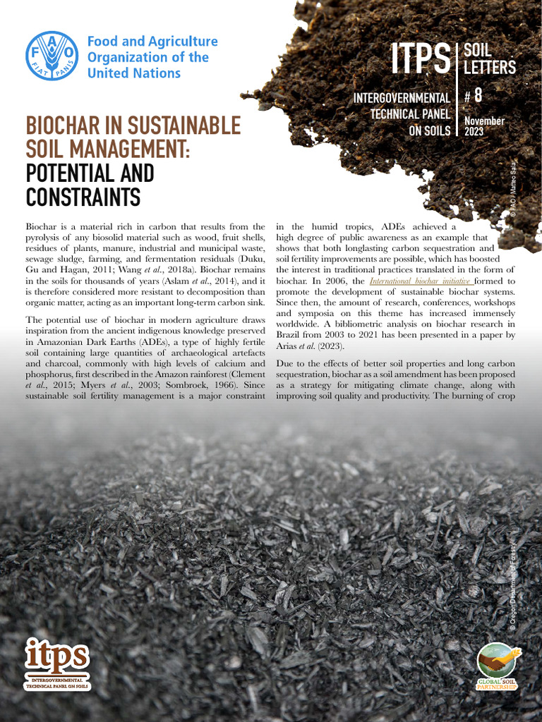 Biochar's Role in Soil Management | PDF | Soil | Climate Change Mitigation