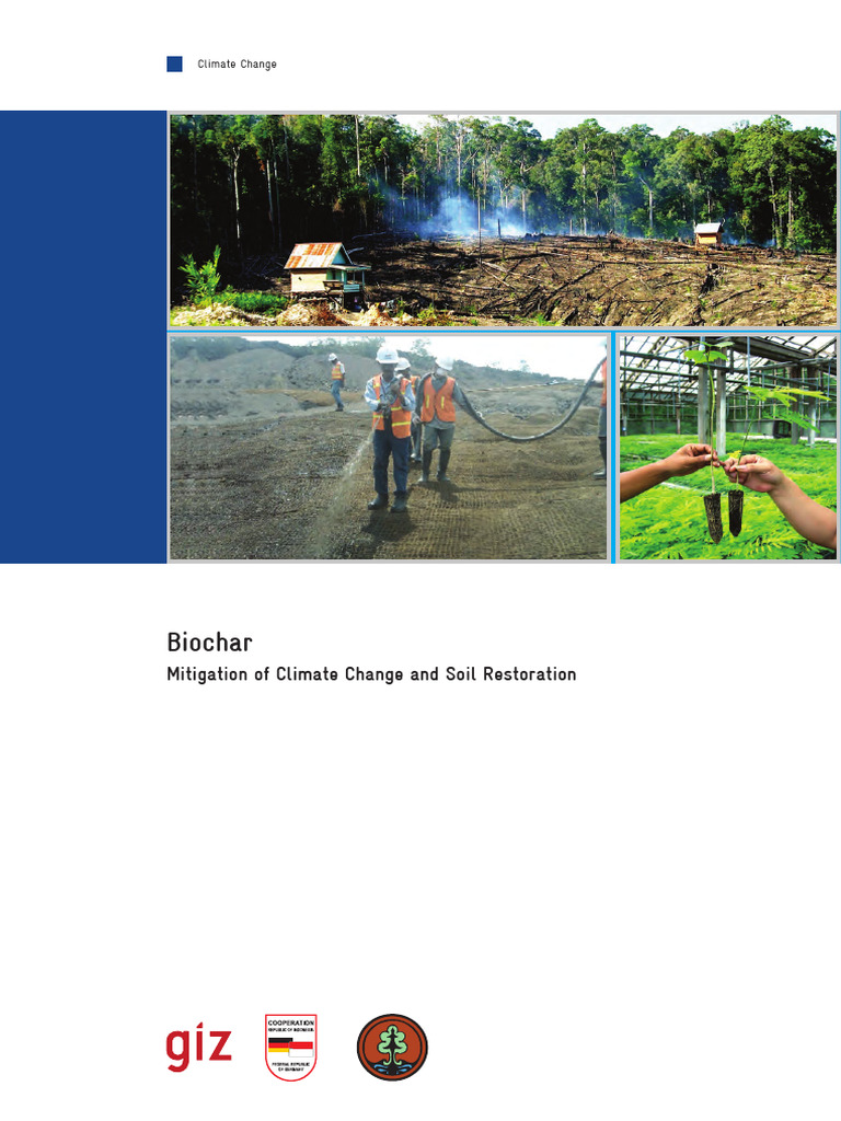 Biochar Report - Final | PDF | Carbon Sequestration | Soil