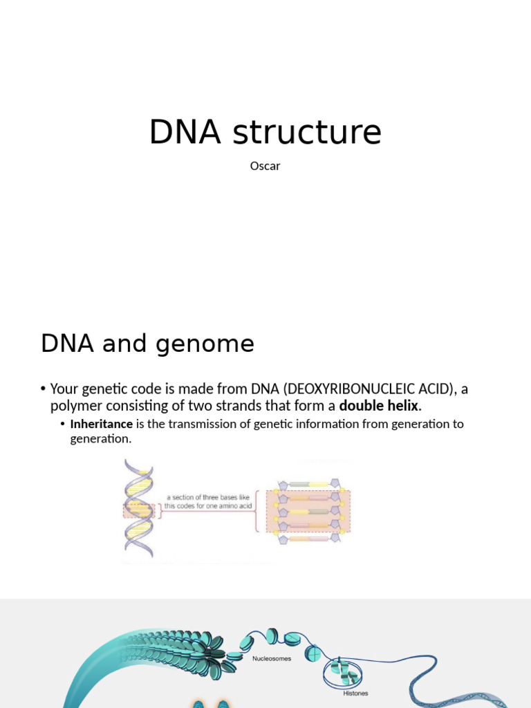 DNA and Inheritance | PDF