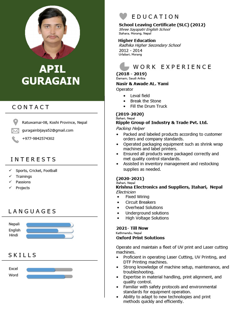 Professional Experience and Skills Summary | PDF | Nepal | Electrical ...