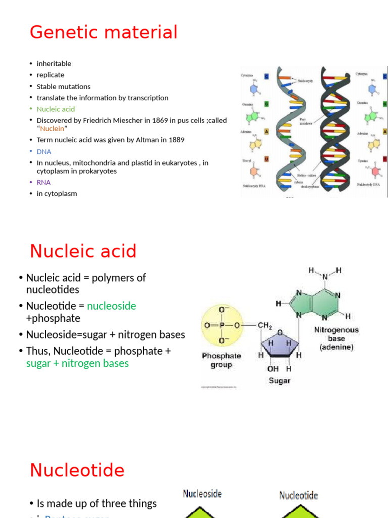 Genetic Material: Nucleic Acid | PDF | Nucleic Acids | Dna