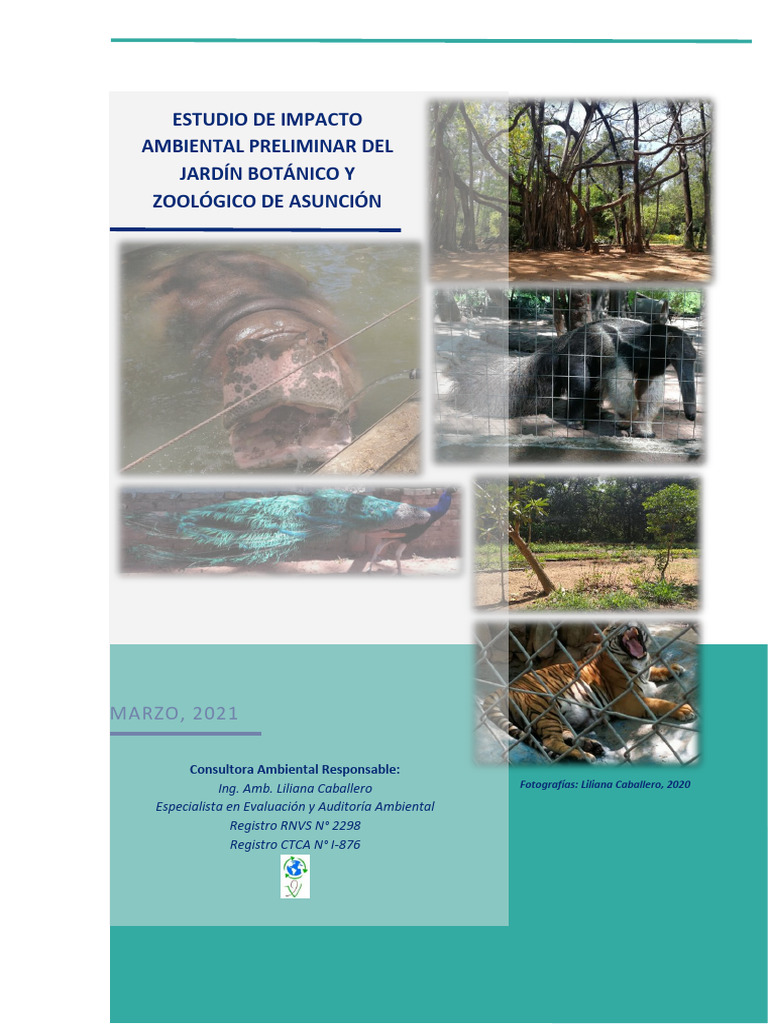 12871884-EIAP - JBZApdf-EIAP - JBZA | PDF | Evaluación de impacto ...