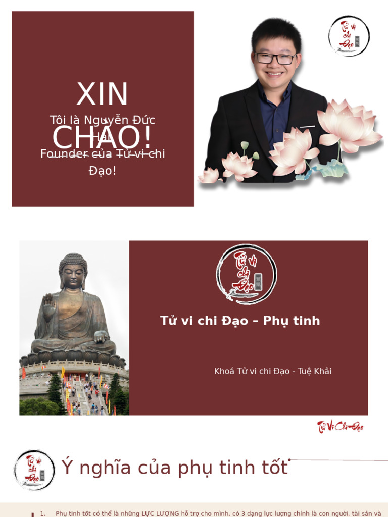 Tử VI Chi Đạo - Các Phụ Tinh Quan Trọng | PDF