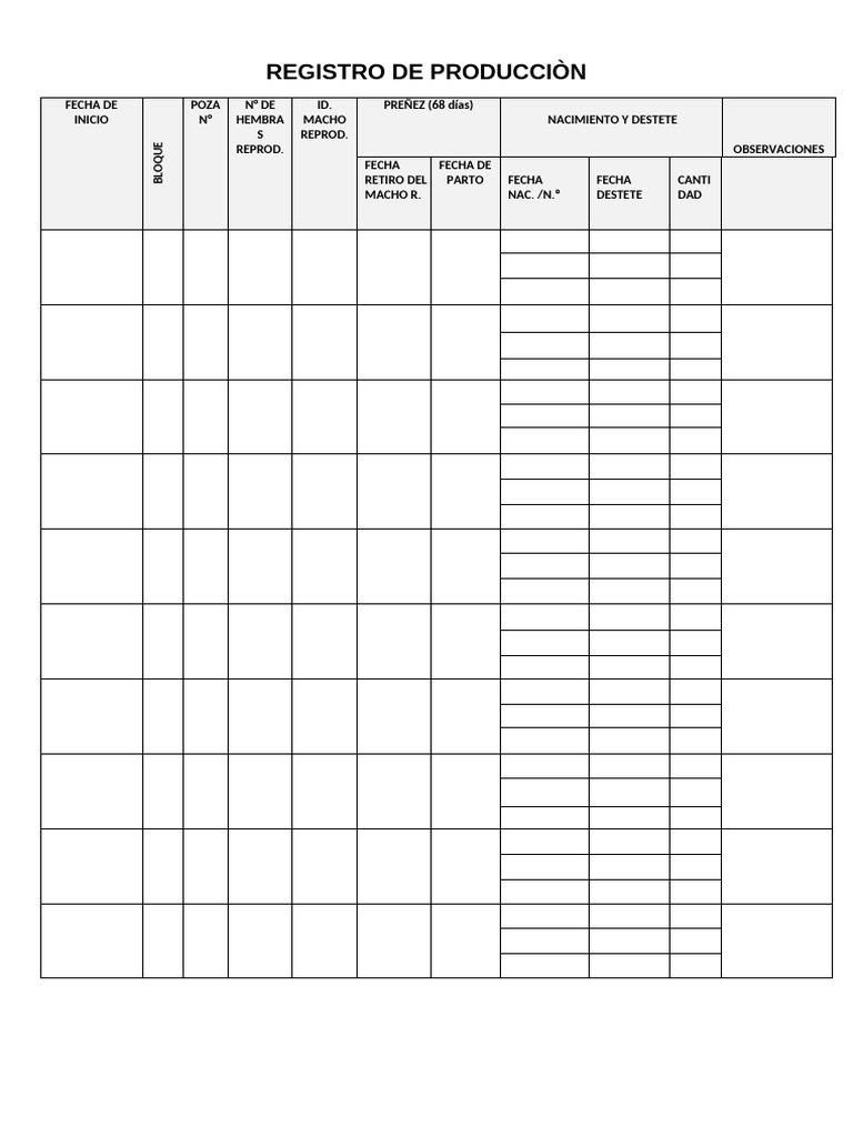 Registro de Producciòn | PDF