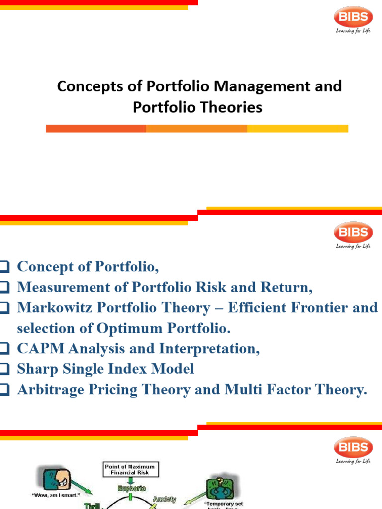 Portfolio Management & Theories Guide | PDF | Modern Portfolio Theory ...