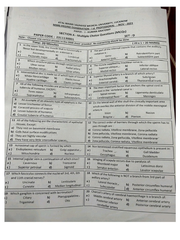 AVBMU 1st Proff Paper 2023 | PDF