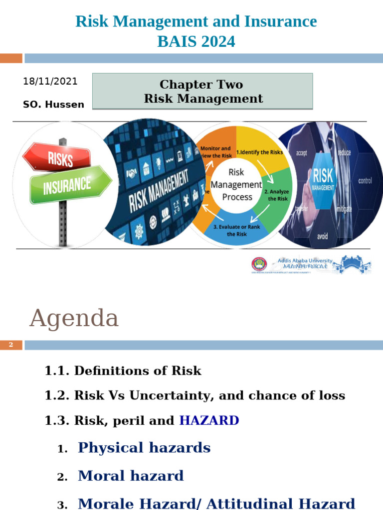 Comprehensive Guide to Risk Management | PDF | Risk | Risk Management