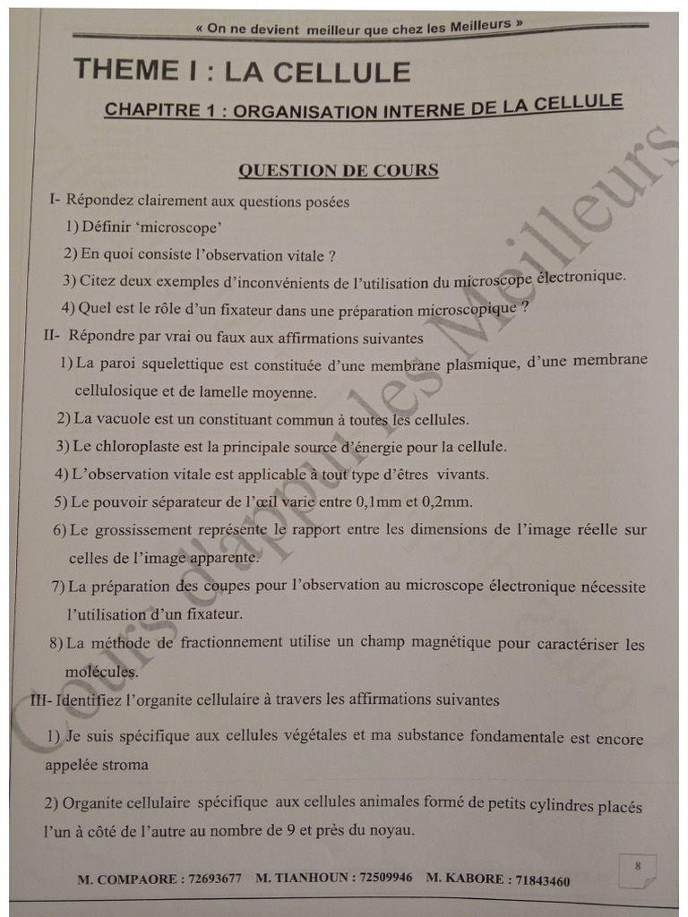 Document SVT | PDF