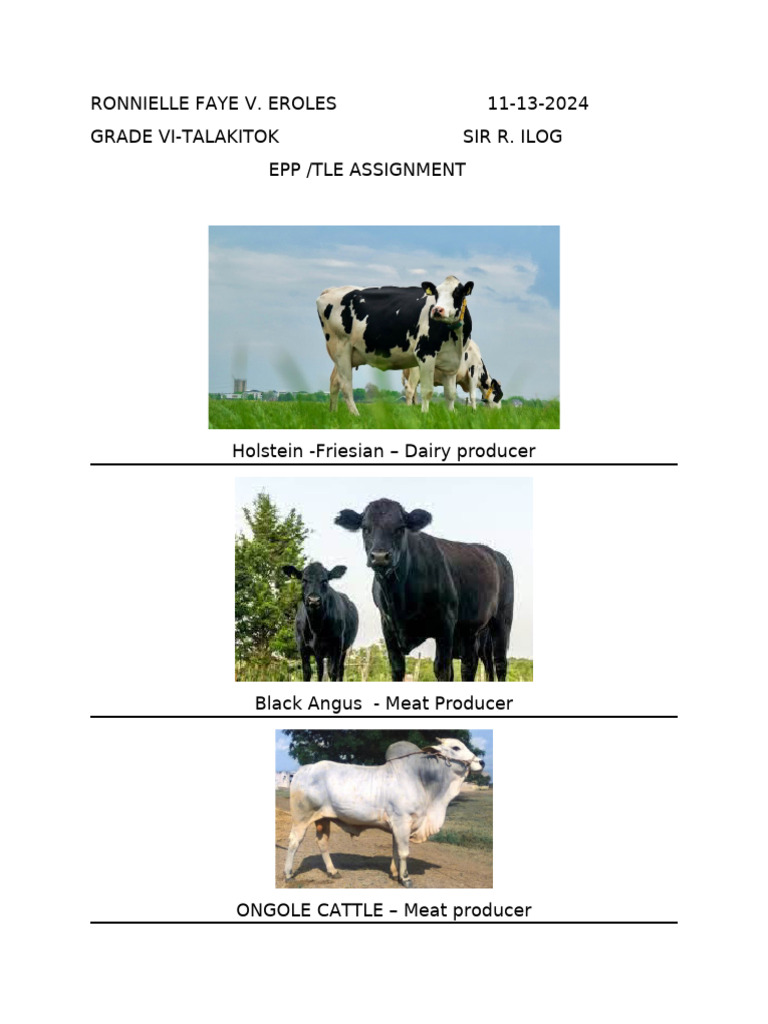 Epp Cow | PDF