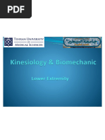 Subtalar and Midtarsal Joint Anatomy | PDF | Foot | Anatomical Terms Of ...