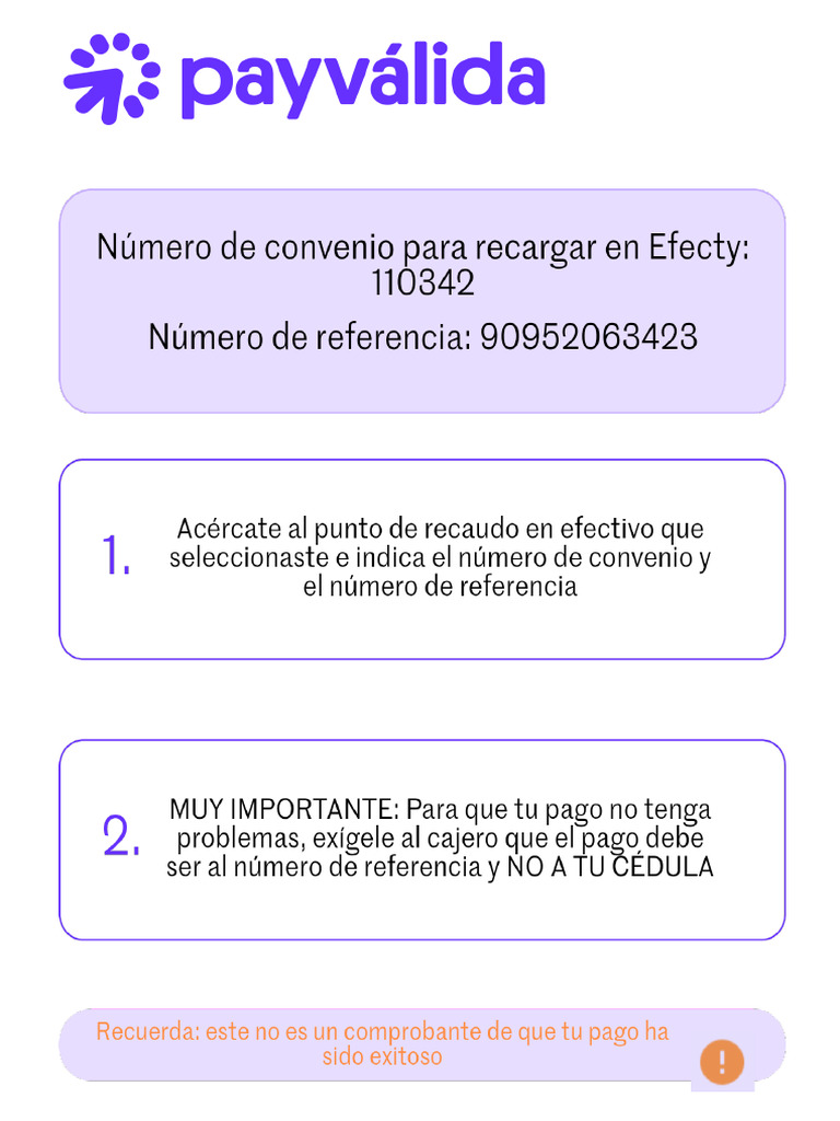 Instructivo Pago Efectivo | PDF