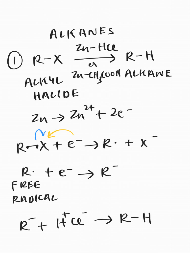 Alkane Notes | PDF
