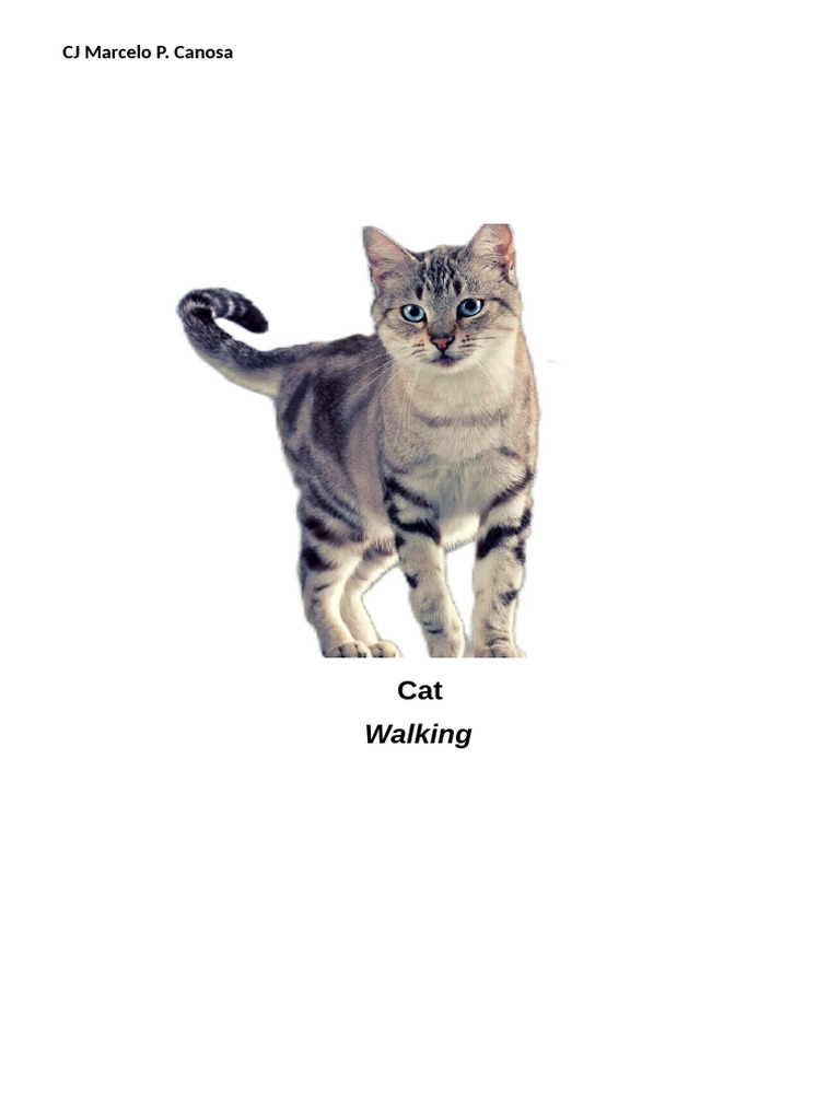 Animals - Cat | PDF