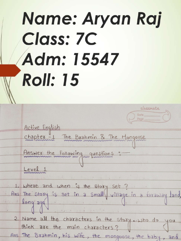 Aryan Raj 7C 15547 (Active English) Chapter - 1 | PDF