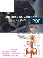 Arterias de Cabeza y Cuello