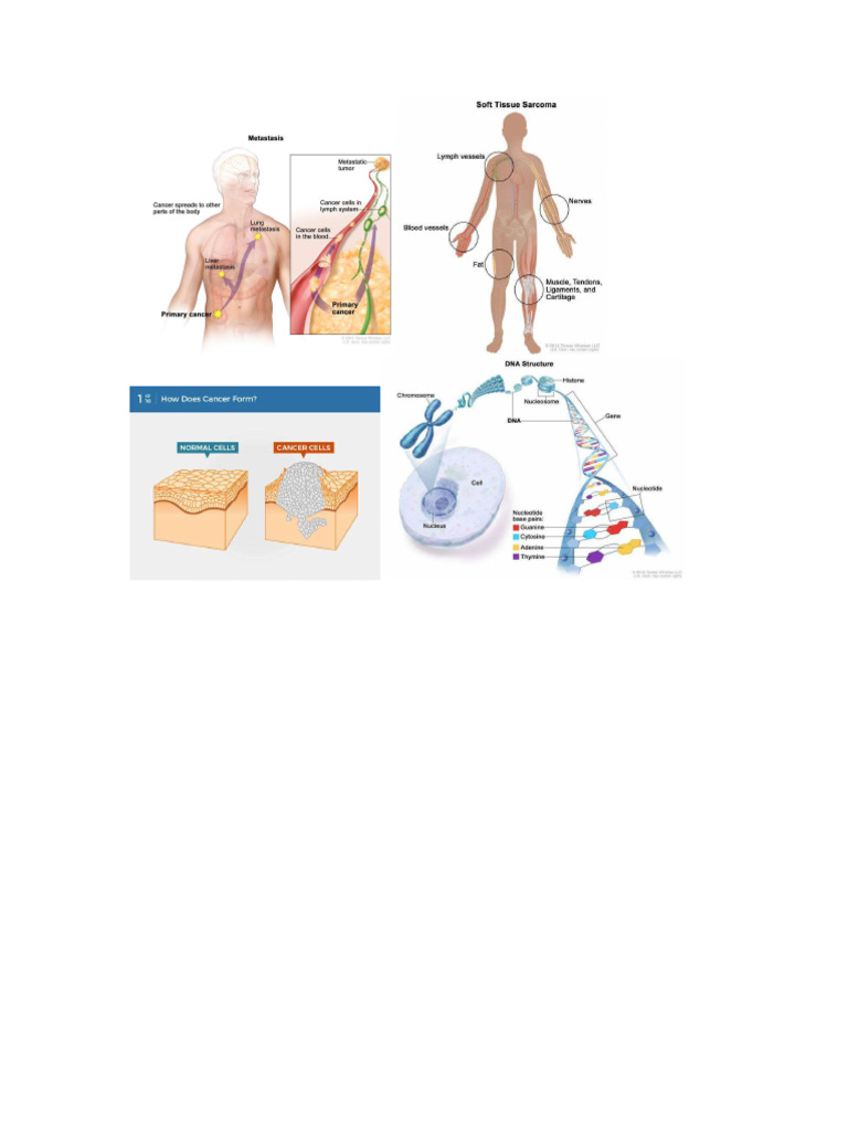 Cancer Cell | PDF