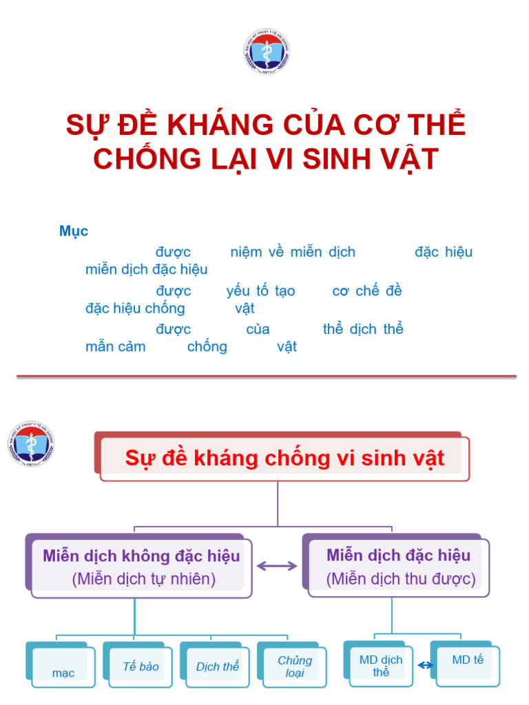Dich Tu Tren Anh Vao Excel