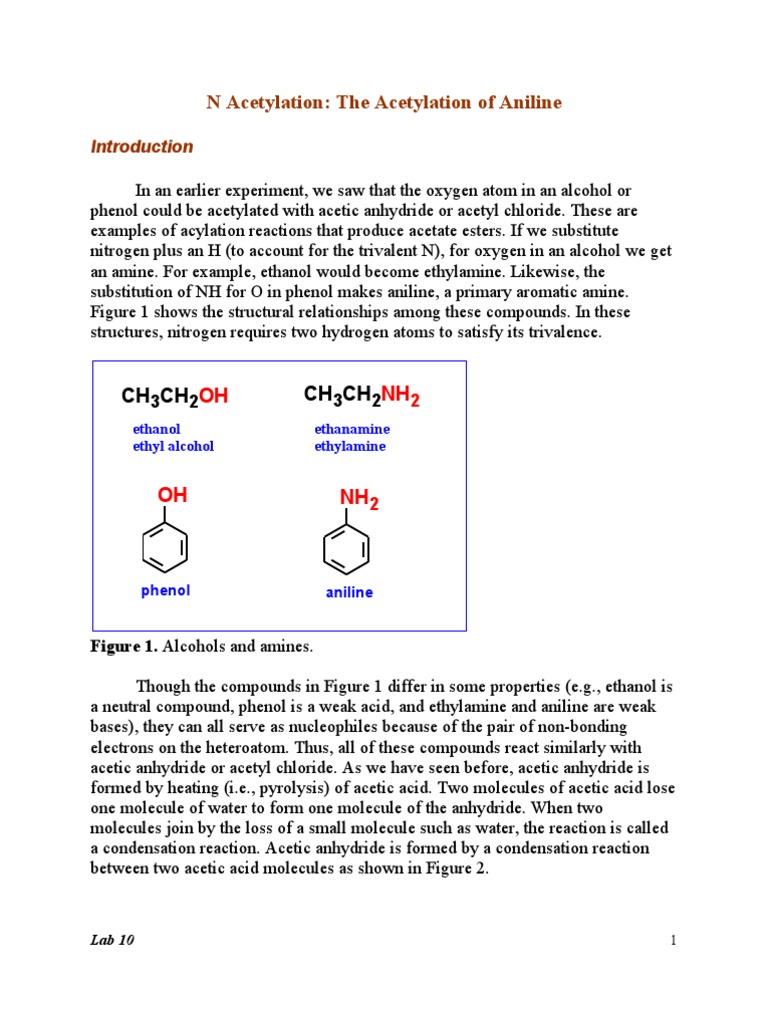 Lab 10 N Acetylation The Acetylation Of A Primary Aromatic Amine Pdf Amide Amine