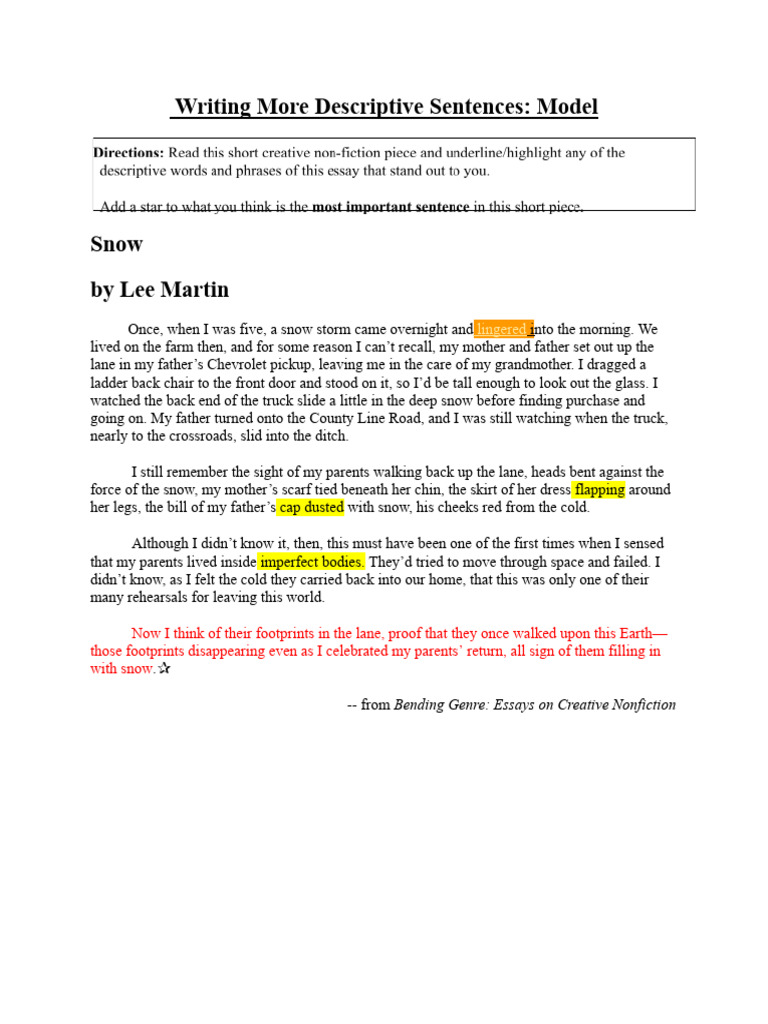 Descriptive Sentence Writing Guide | PDF