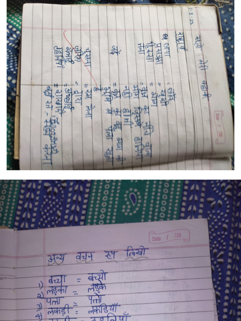 Lesson 3 Hindi Class 7 Pdf