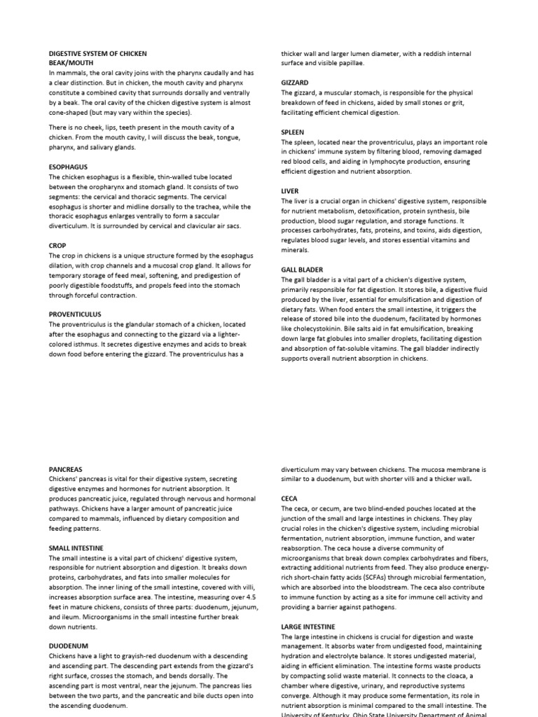 Ansci Finals | PDF | Small Intestine | Reproductive System