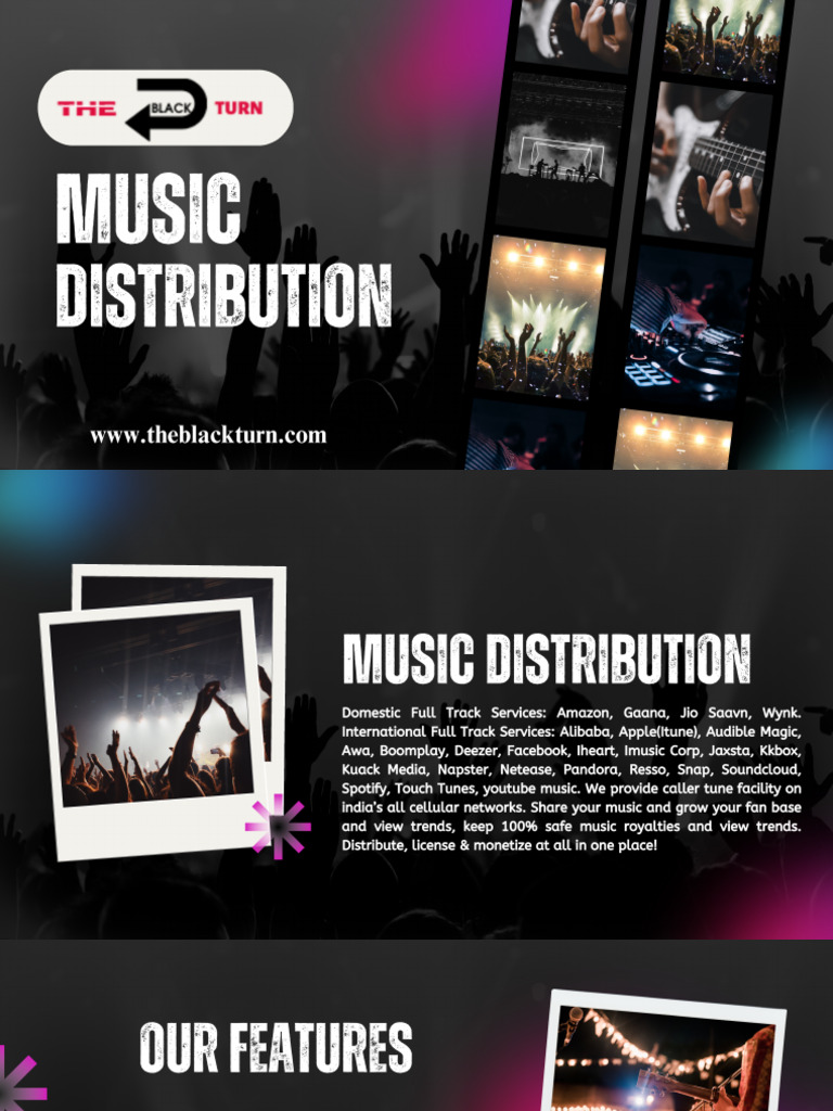 Music Distribution | PDF