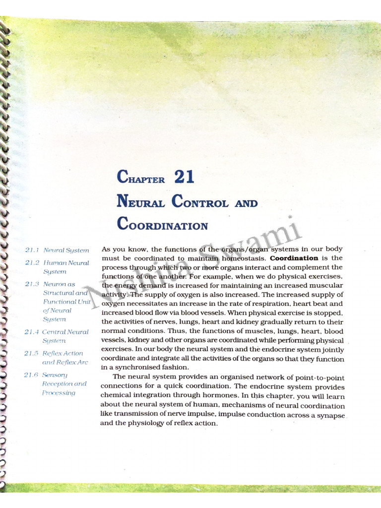 Ch.21 Neural Control and Coordination | PDF