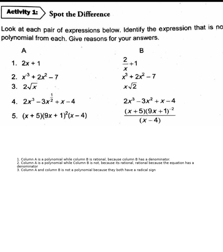 Polynomials vs. Rational Expressions Explained | PDF