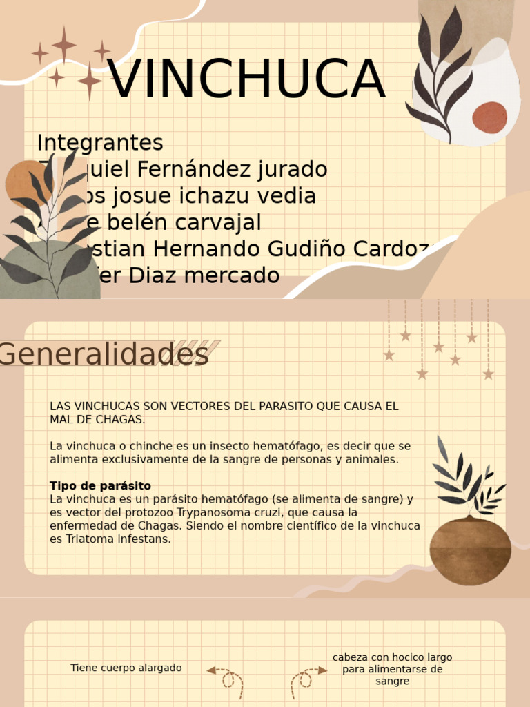 Vinchuca: Vector del Mal de Chagas | PDF | Causas de la muerte ...