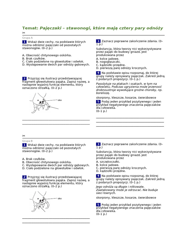 Plazy I Gady Sprawdzian Klasa 6 Kartkówka. Biologia. Klasa 6 | PDF