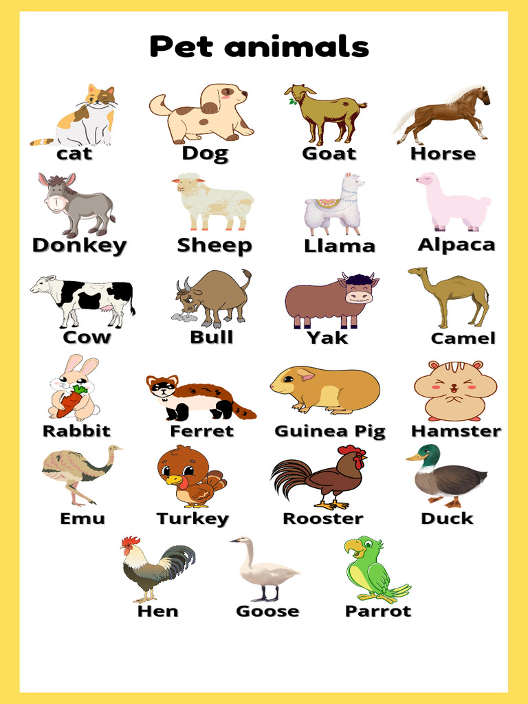 Pet Animals | PDF