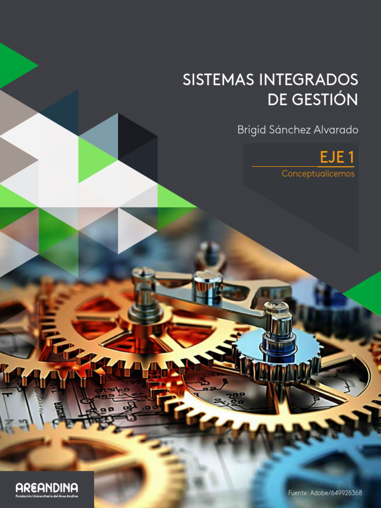 Sistemas Integrados de Gestión Eficaces | PDF | Calidad (comercial ...