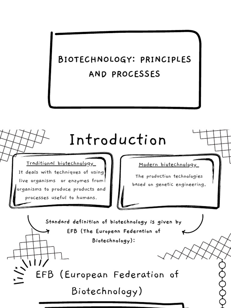 Biotechnology Principles and Processes | PDF | Molecular Cloning ...