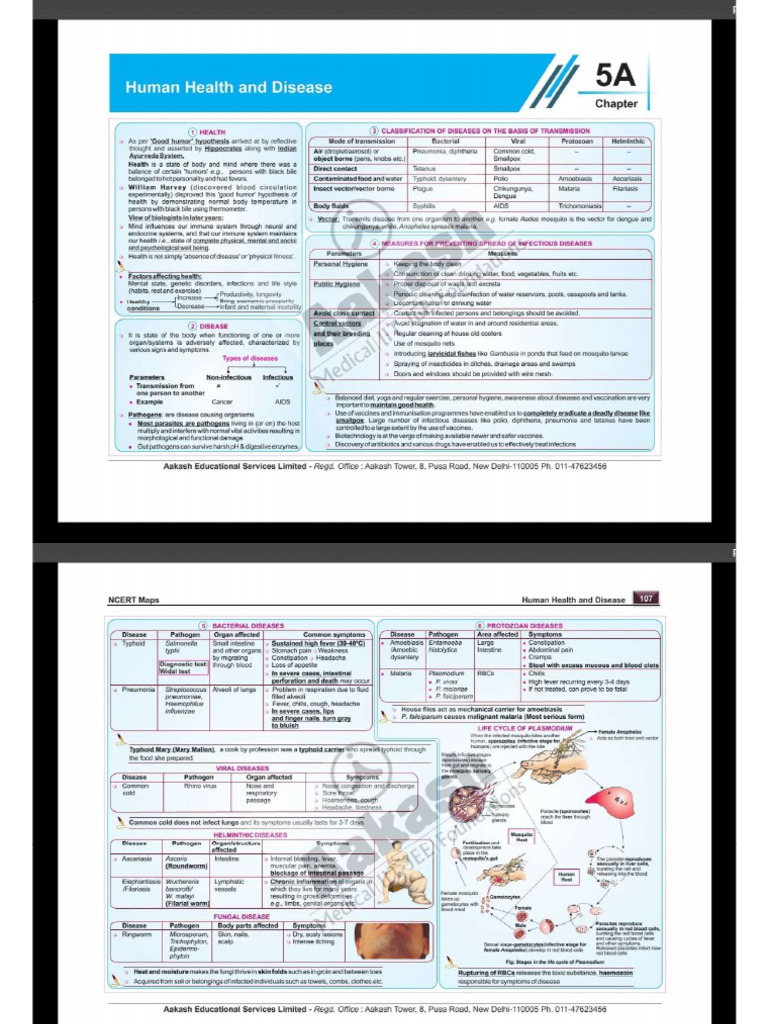 Human Health | PDF