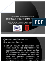 Buenas Practicas de Produccion Animal[1]