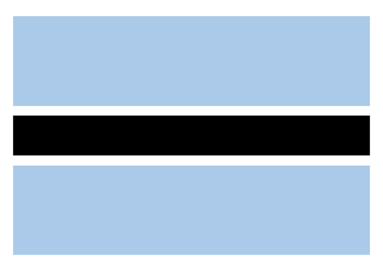 Botswana Flag A4 | PDF