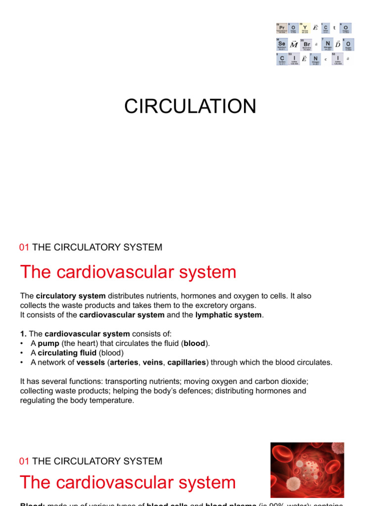 Overview of the Circulatory System | PDF | Heart | Heart Valve