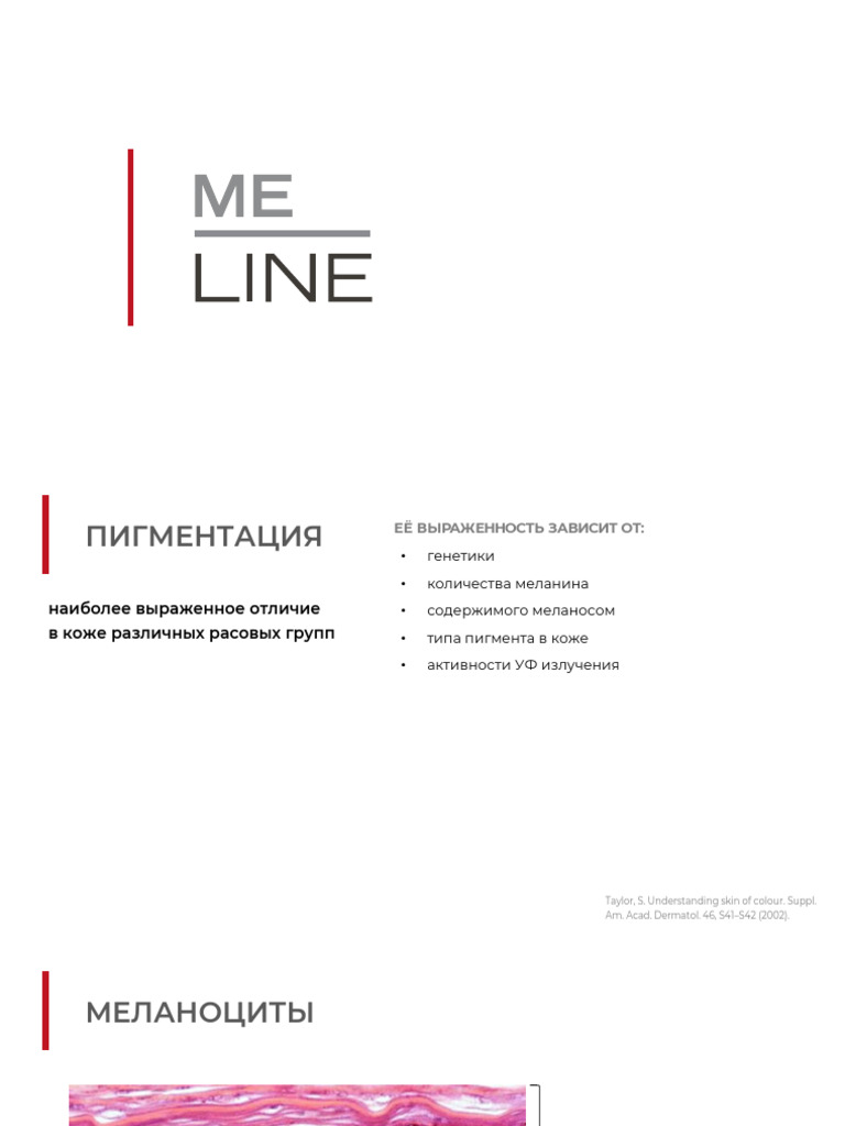 ME LINE рус | PDF