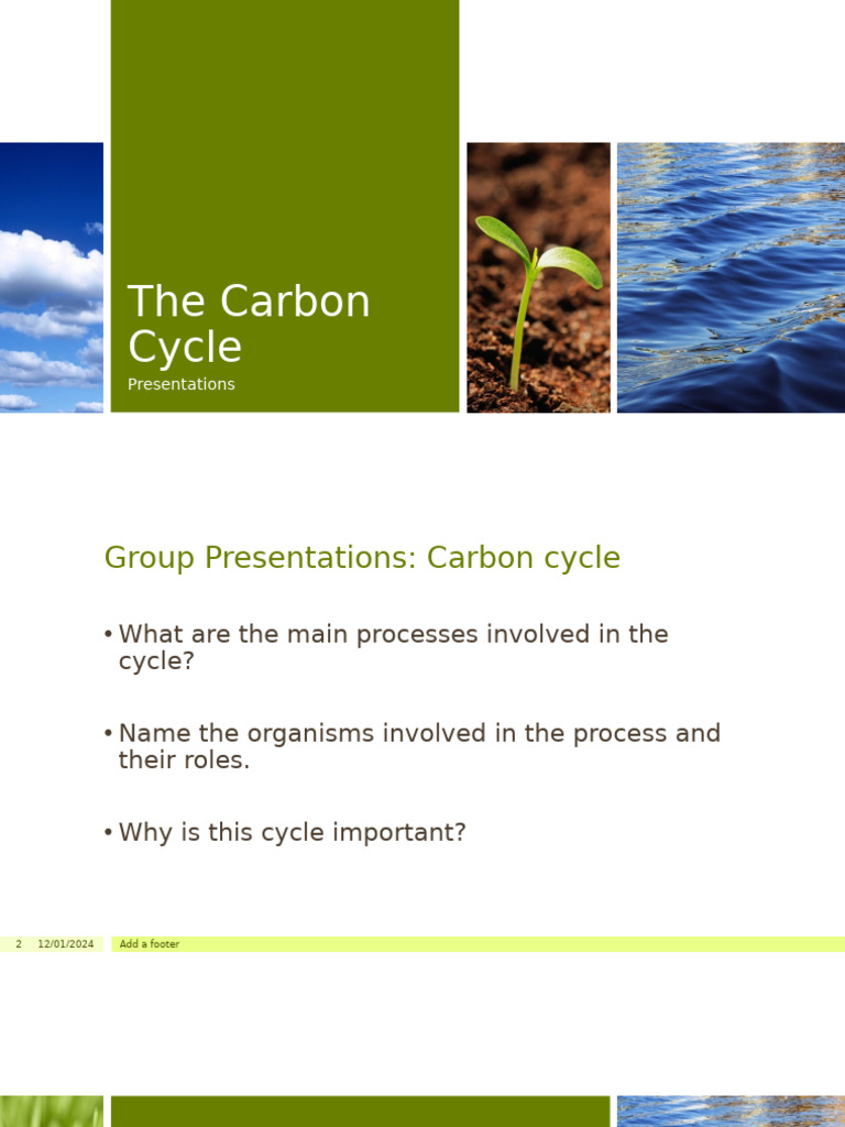 Carbon Cycle Group Pres | PDF