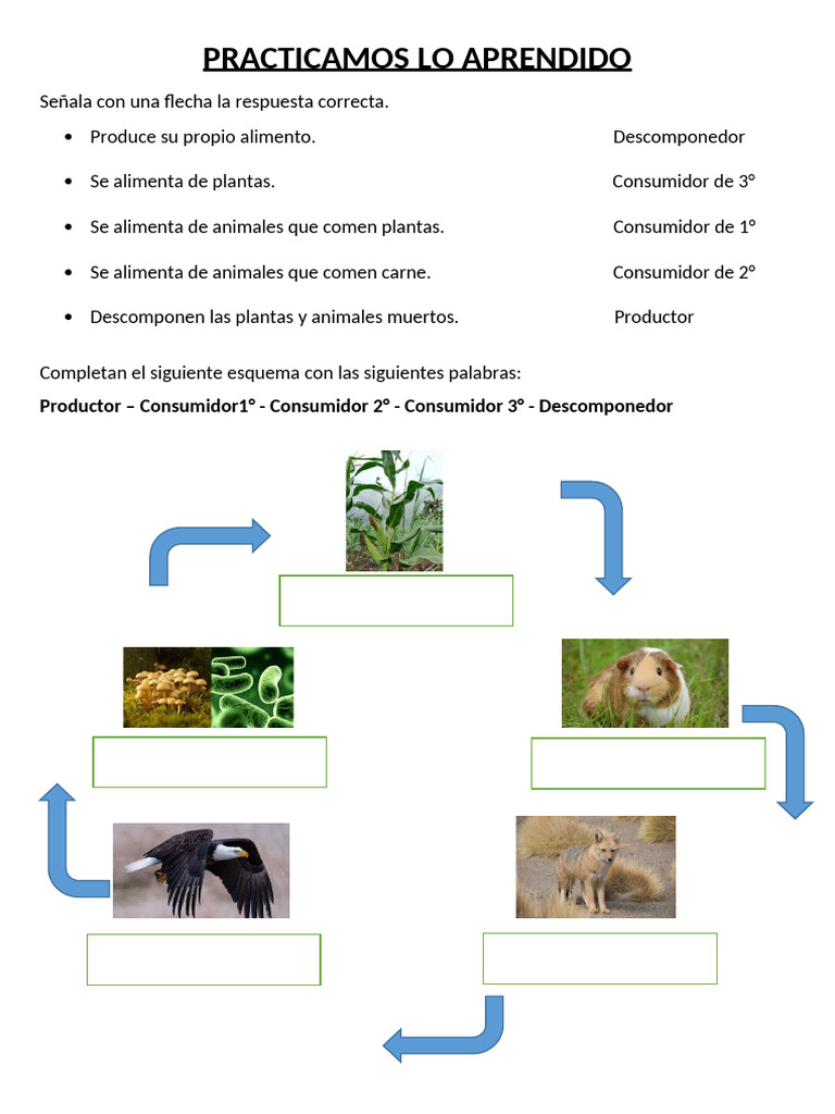 Practicamos Lo Aprendido | PDF