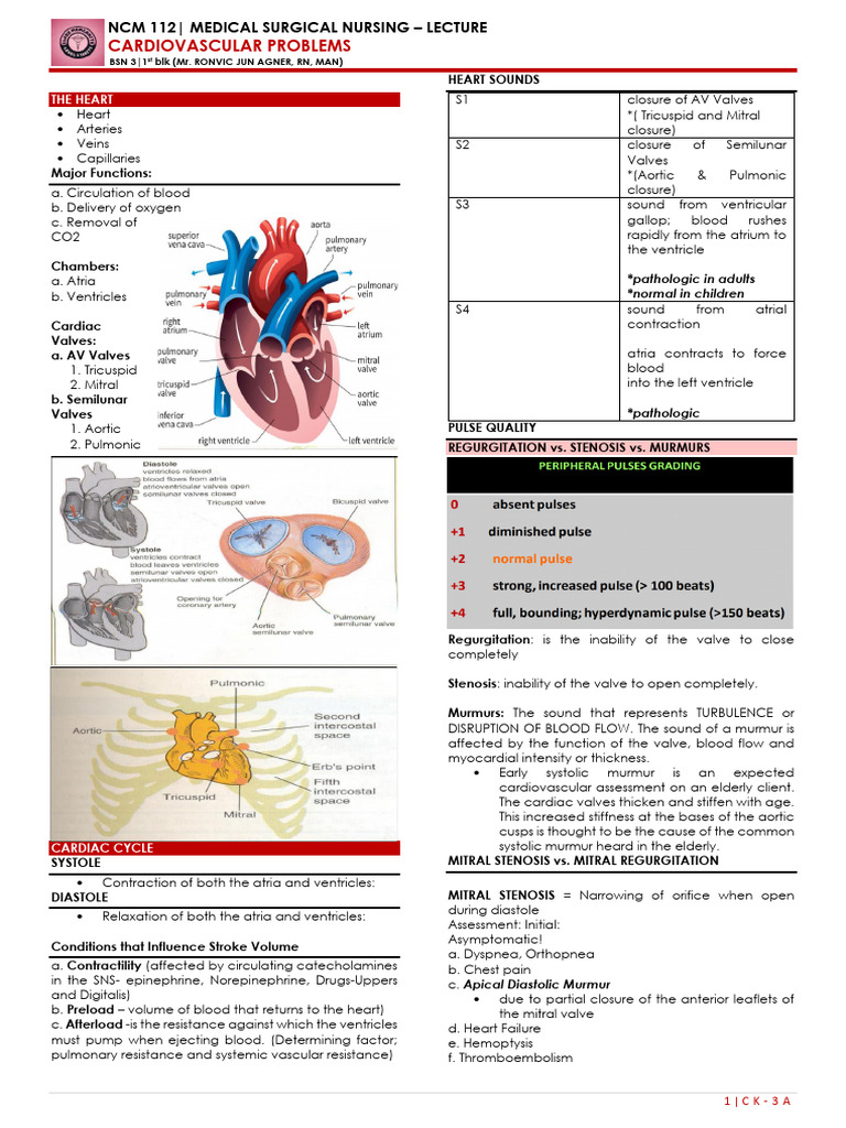 Cardiovascular Nursing Lecture Notes | PDF | Heart Valve | Heart