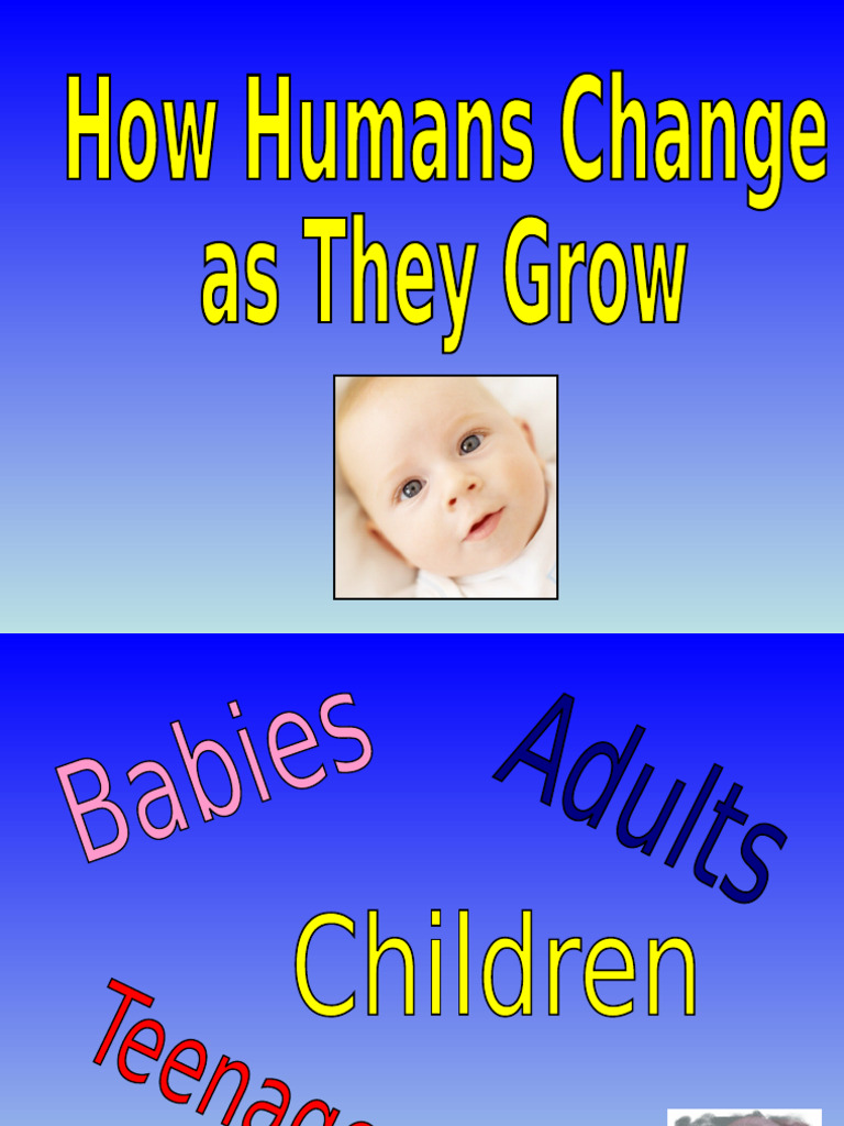 Life Stages: From Babies to Adults | PDF