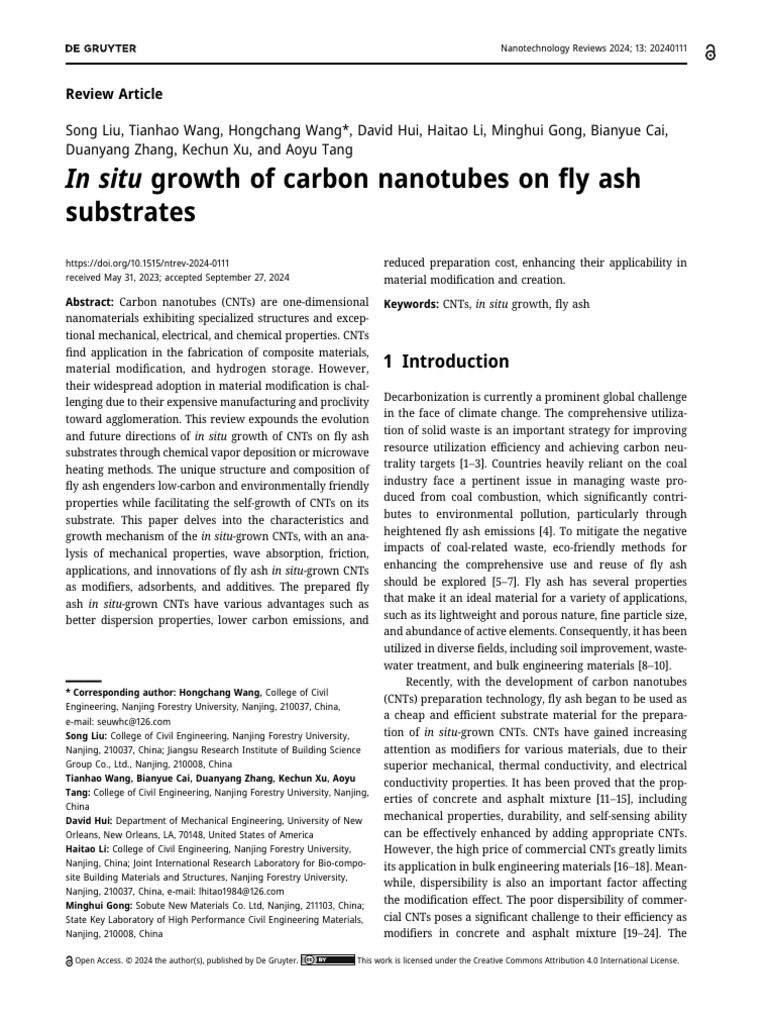 In Situ Growth of Carbon Nanotubes On Fly Ash Subs | PDF | Carbon ...