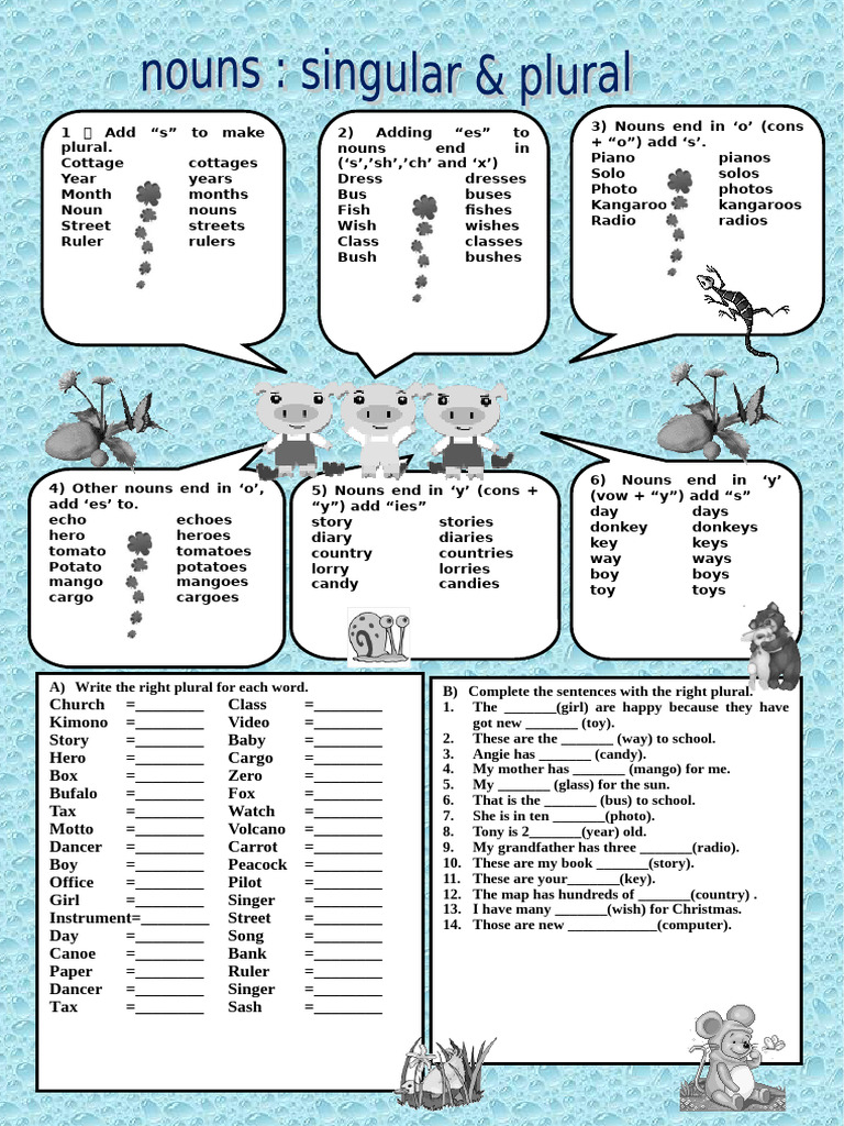 Nouns Singular and Plural Grammar Guides Picture Dictionaries 38791 ...