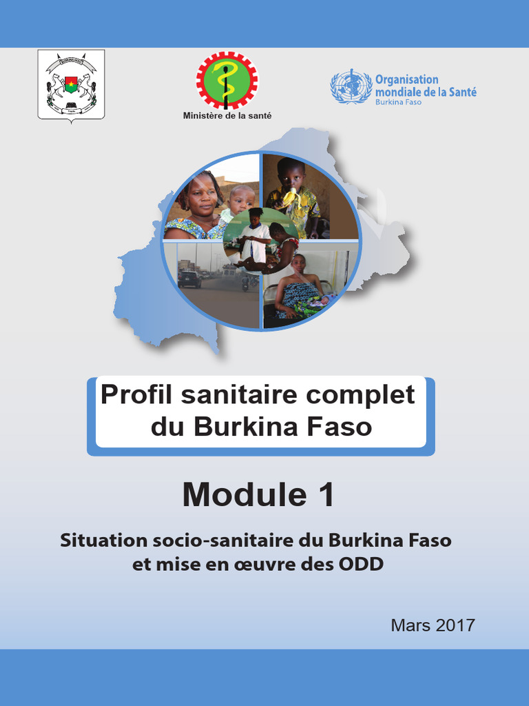 Pyramide sanitaire du Burkina Faso 2015 | PDF | Objectifs du millénaire ...