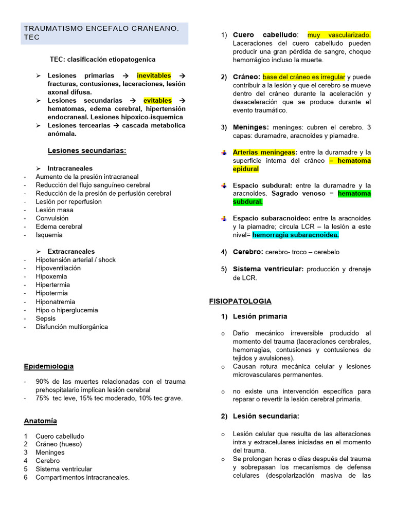 Clasificación y Manejo del TEC | PDF | Lesión cerebral traumática ...